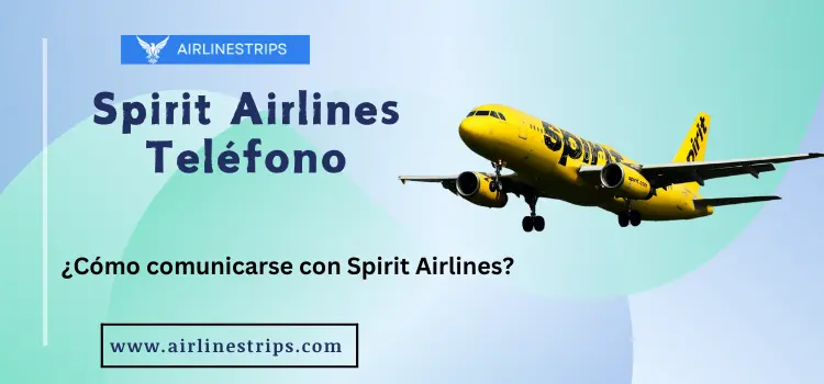 Spirit Airlines Español Teléfono